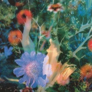 Meet your Posher, Stella